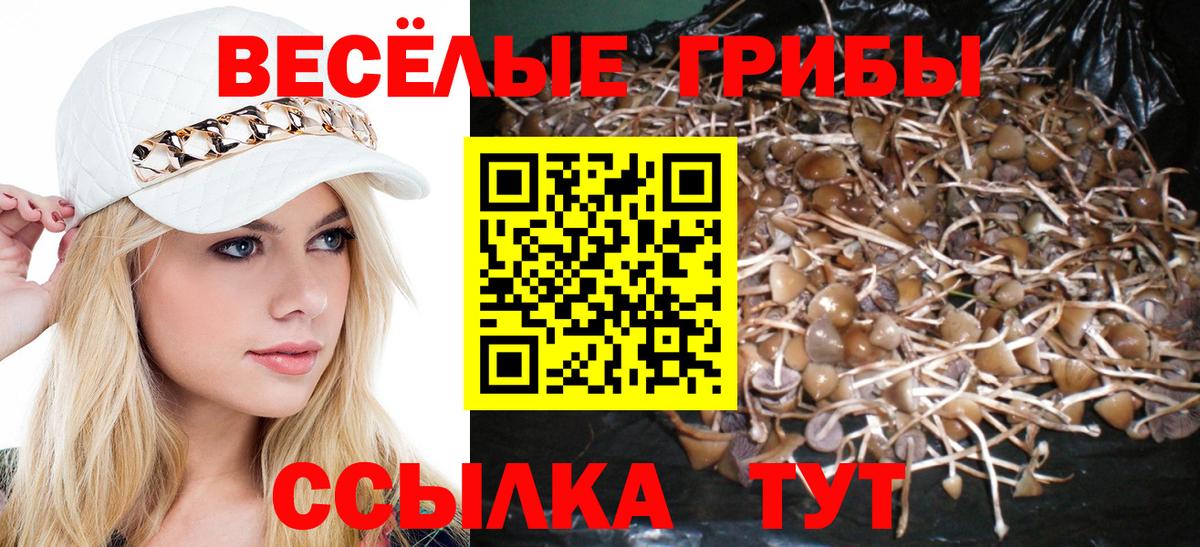 Псилоцибиновые грибы ЛСД Звенигород